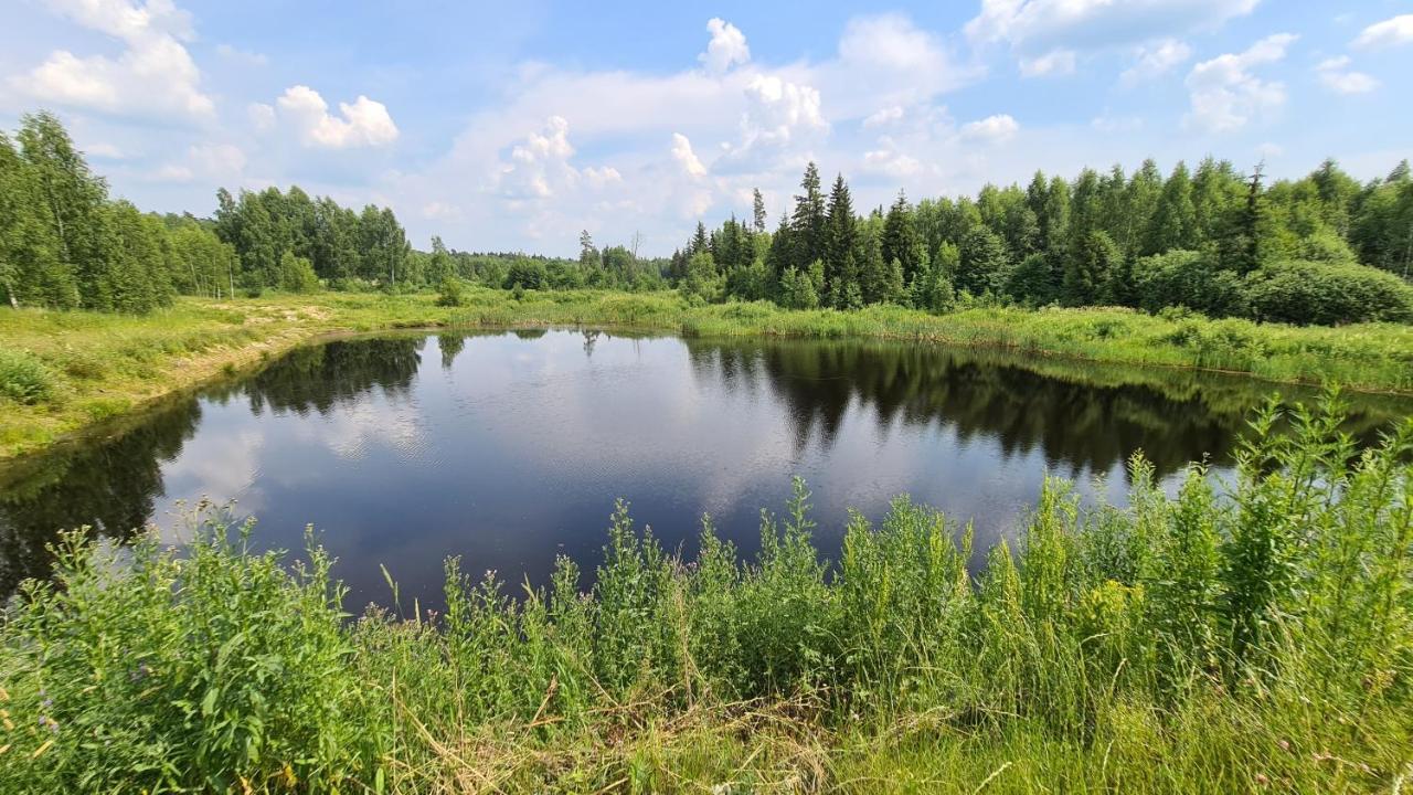 Pensjonat Novinki Park Danki Zewnętrze zdjęcie