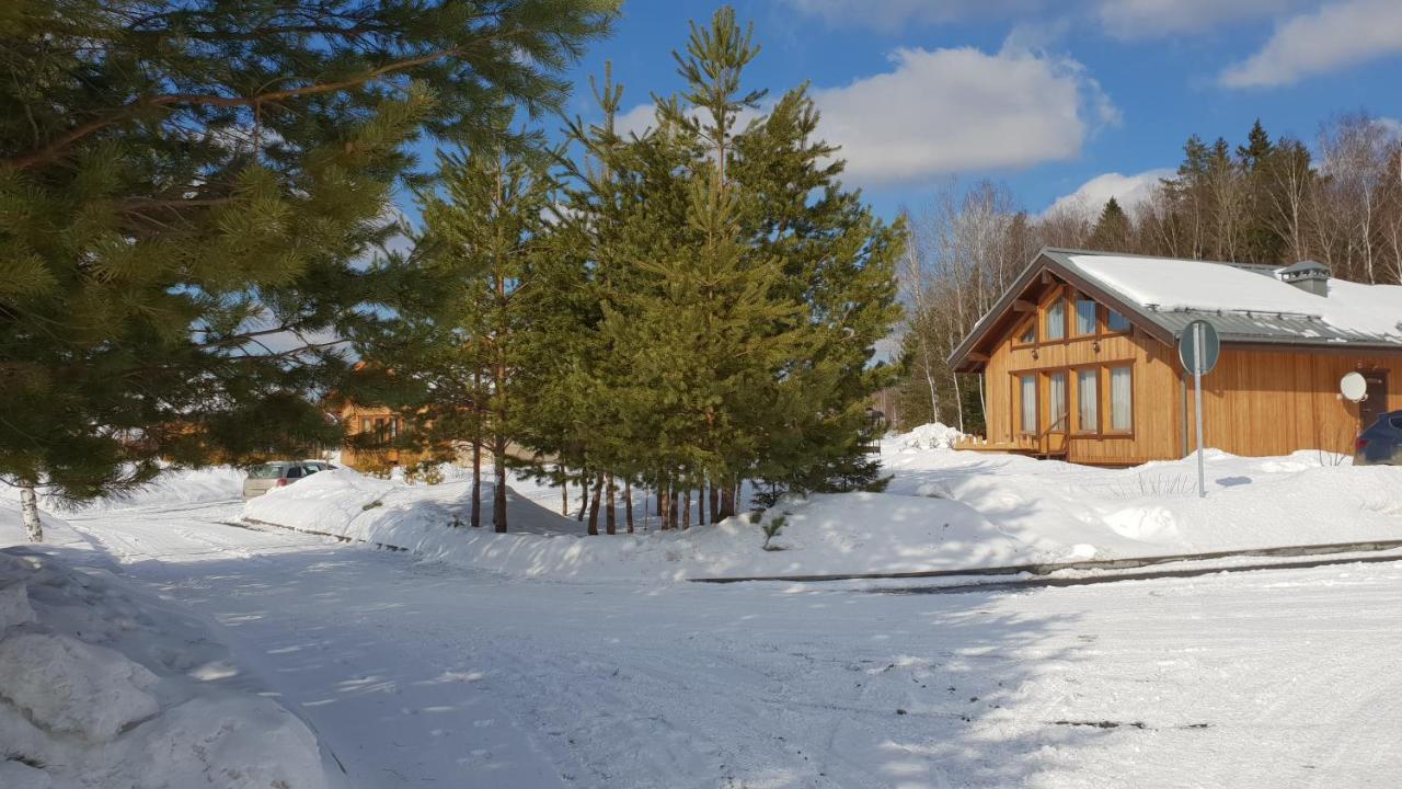 Pensjonat Novinki Park Danki Pokój zdjęcie