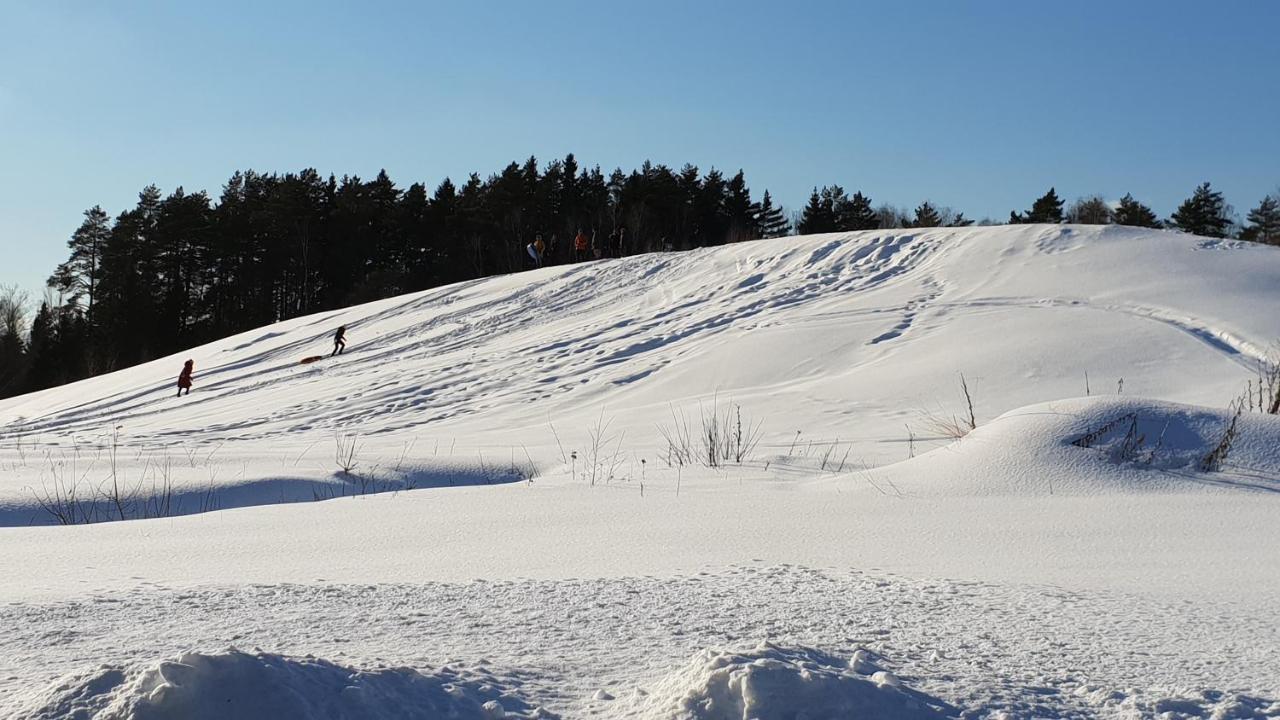 Pensjonat Novinki Park Danki Zewnętrze zdjęcie